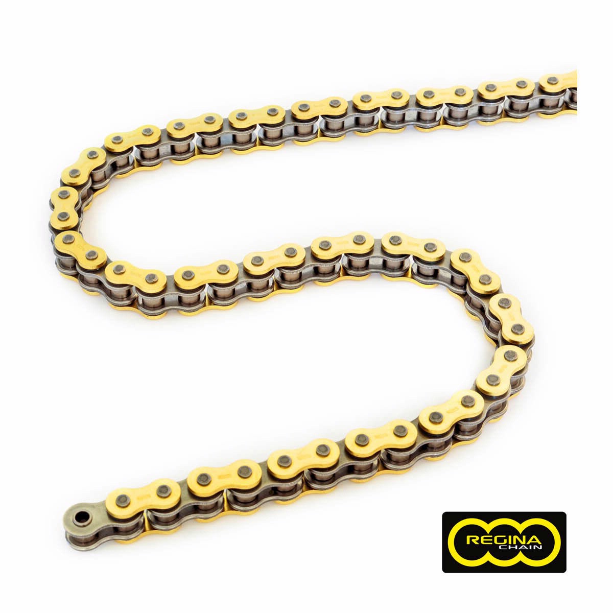 Regina ZRing Kette 135GPZN bei Auner online kaufen