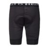 MTB Shorts Drop In