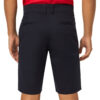 Shorts Chino Icon