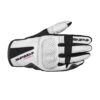 Damen Handschuh Charme 2