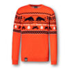 Sweater Winter