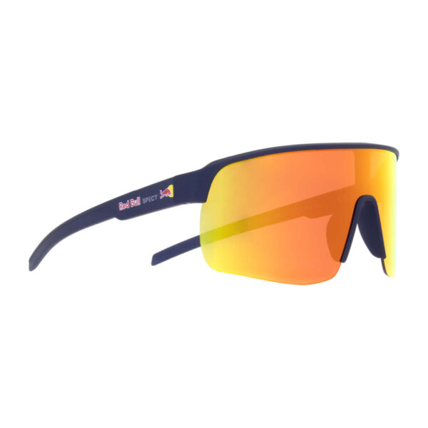 Sonnenbrille Dakota