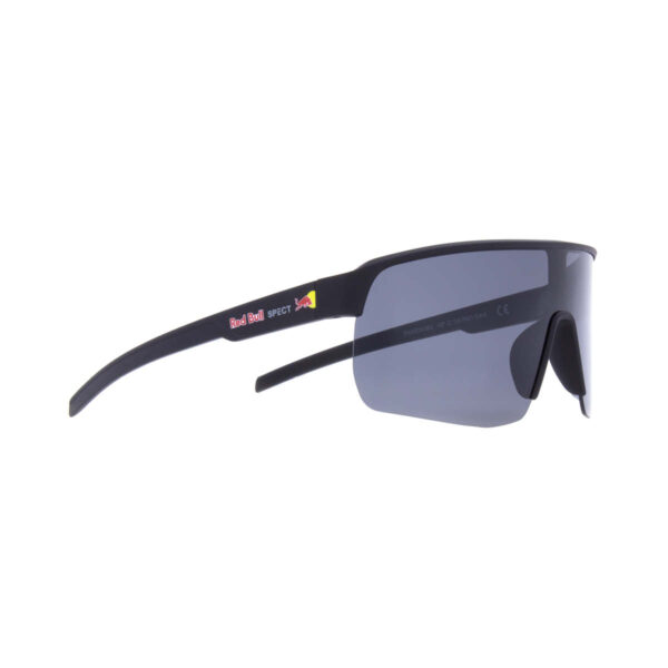 Sonnenbrille Dakota