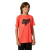 T-Shirt Jugend Shattered