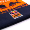 Beanie Winter
