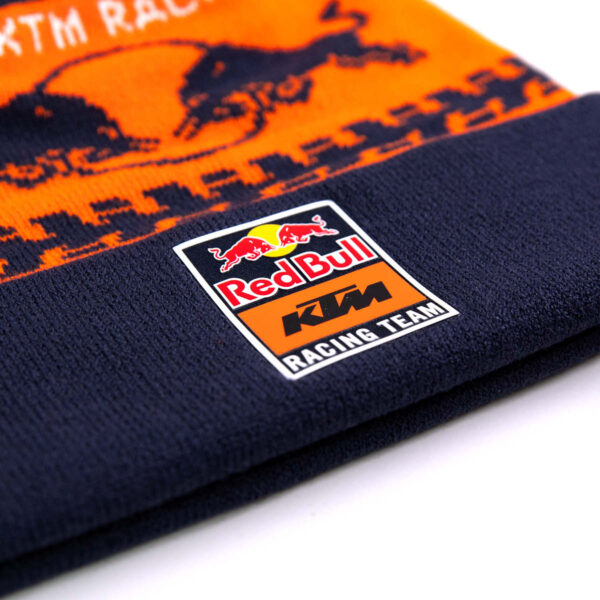 Beanie Winter