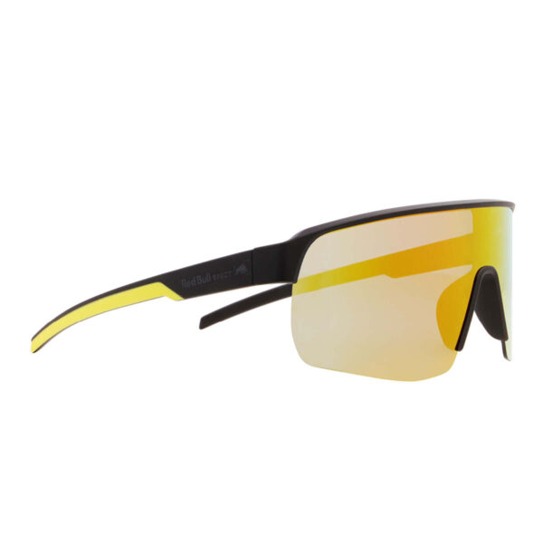 Sonnenbrille Dakota