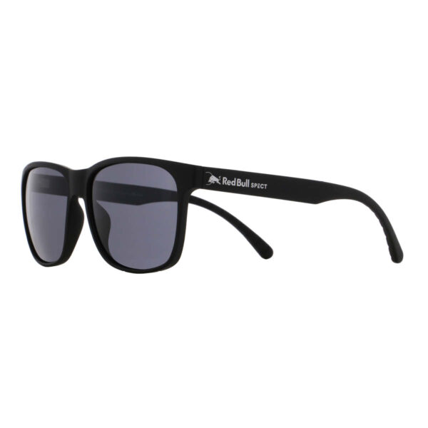 Sonnenbrille Earle