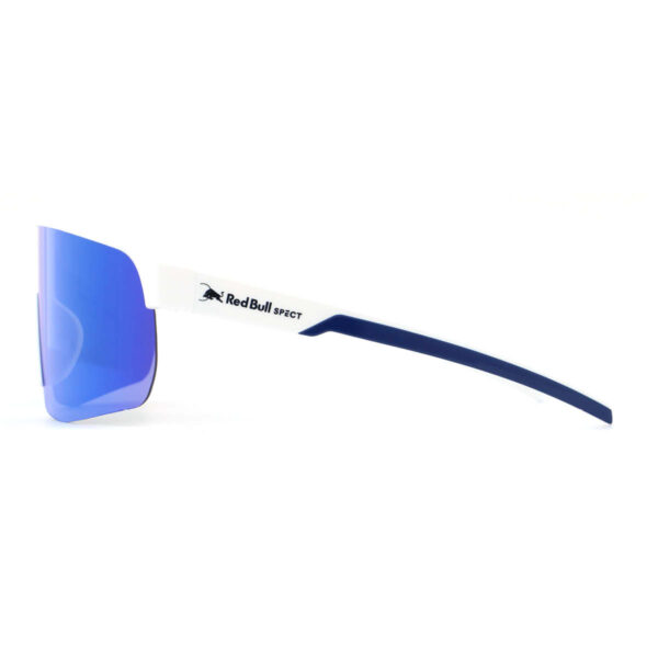Sonnenbrille Dakota