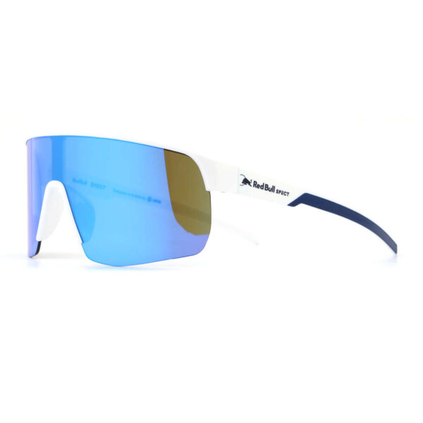Sonnenbrille Dakota