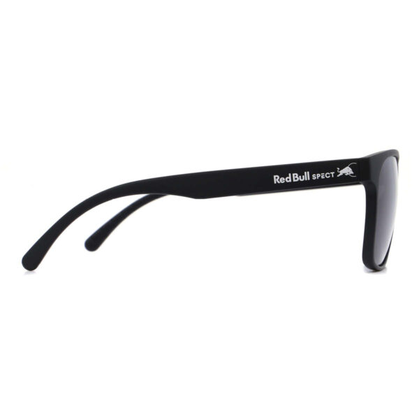 Sonnenbrille Earle