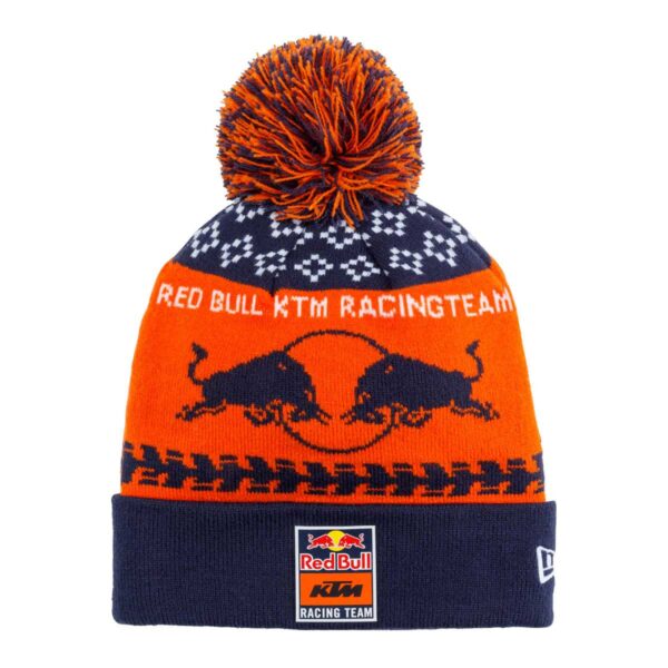 Beanie Winter