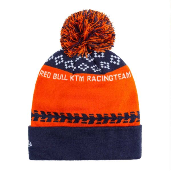Beanie Winter