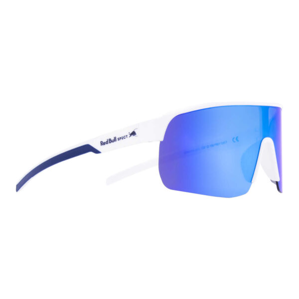 Sonnenbrille Dakota