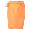 Shorts Beach Volley 16''