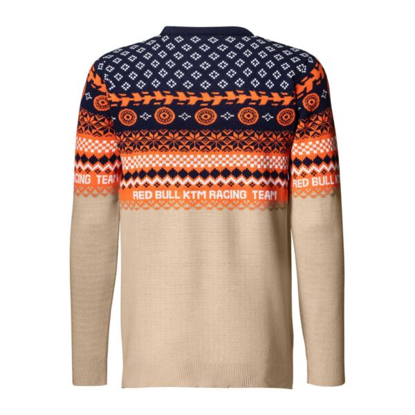 Pullover Winter