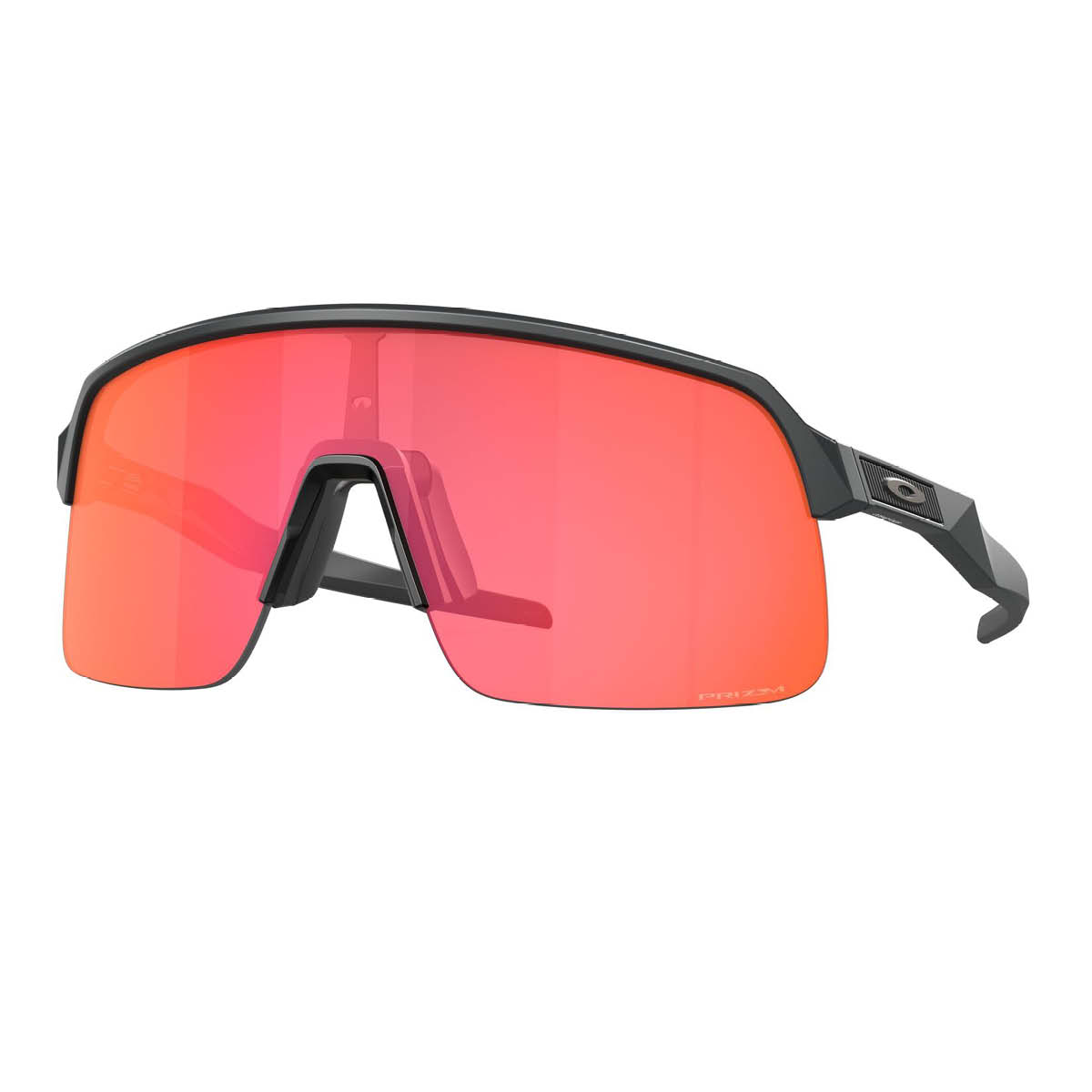 Sonnenbrille Sutro Lite
